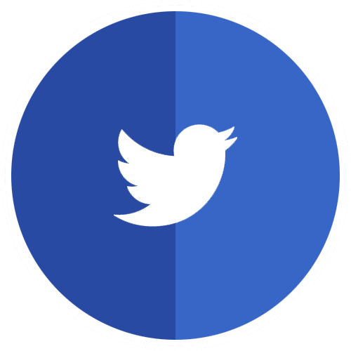 Twitter Circle Icon