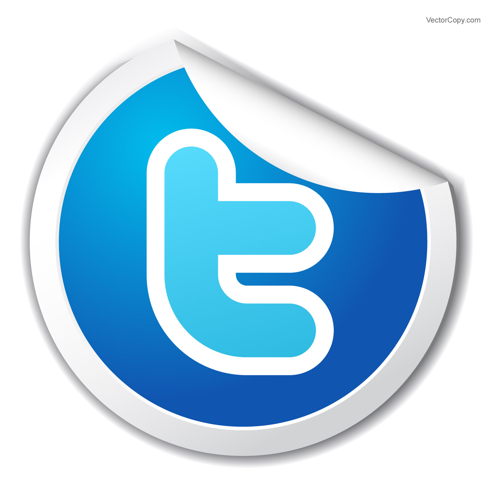 Twitter Icon Vector Logo