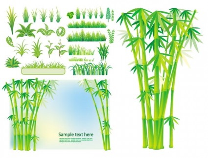 Vector Bamboo Plant