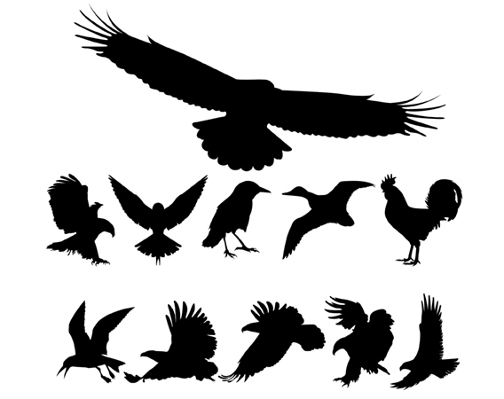 18 Vector Bird Silhouette Images