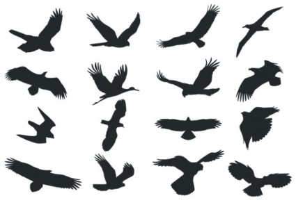 Vector Bird Silhouettes