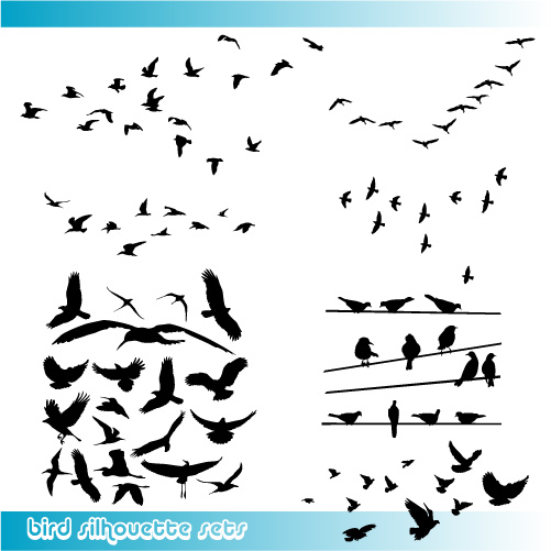 Vector Bird Silhouettes