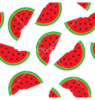 Watermelon Vector Free Download