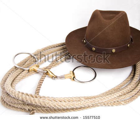 Western Riding Helmet Cowboy Hat