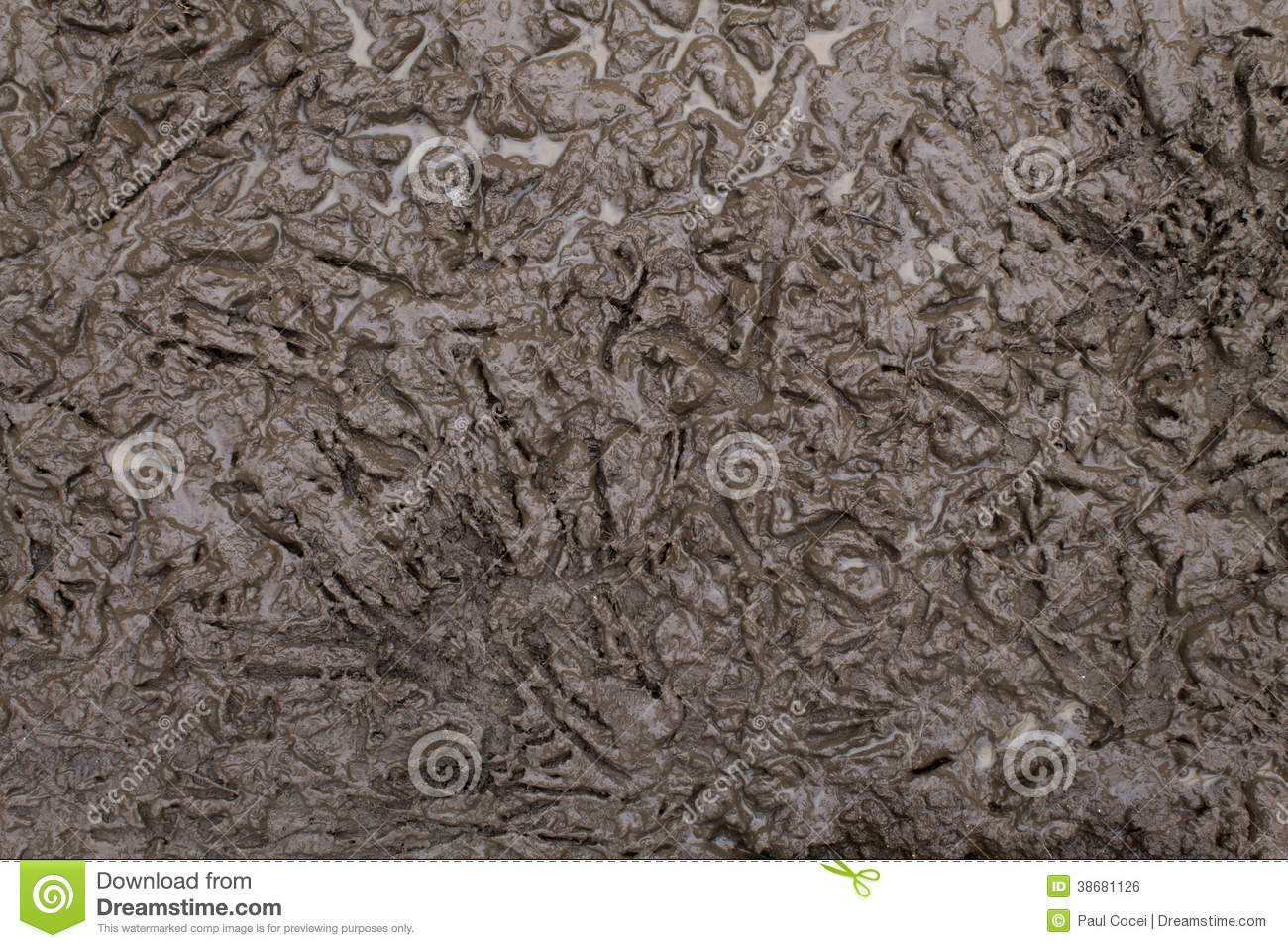 Wet Mud Texture