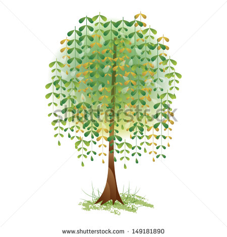 Willow Tree Illustration