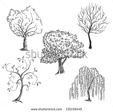 Willow Tree Silhouette Vector