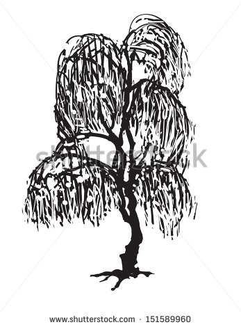 Willow Tree Silhouette Vector