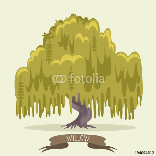 Willow Tree Vector Illustration