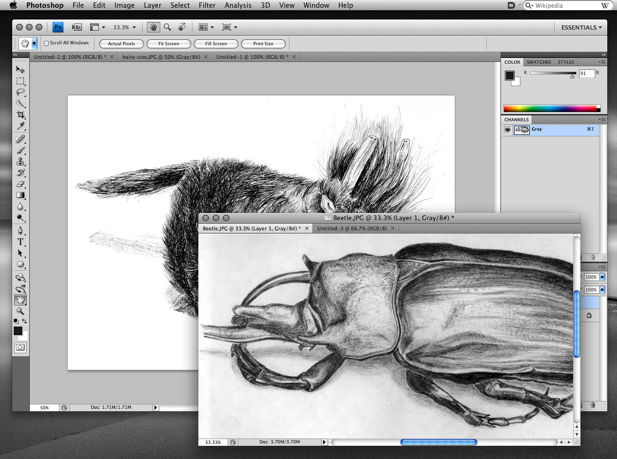 Adobe Photoshop CS4 Adobe Photoshop CS4