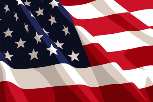 American Flag Vector Free