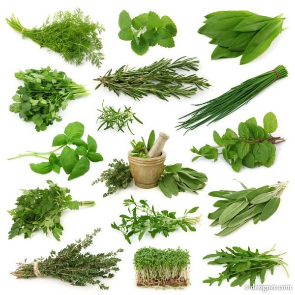 Anti-Inflammatory Herbs