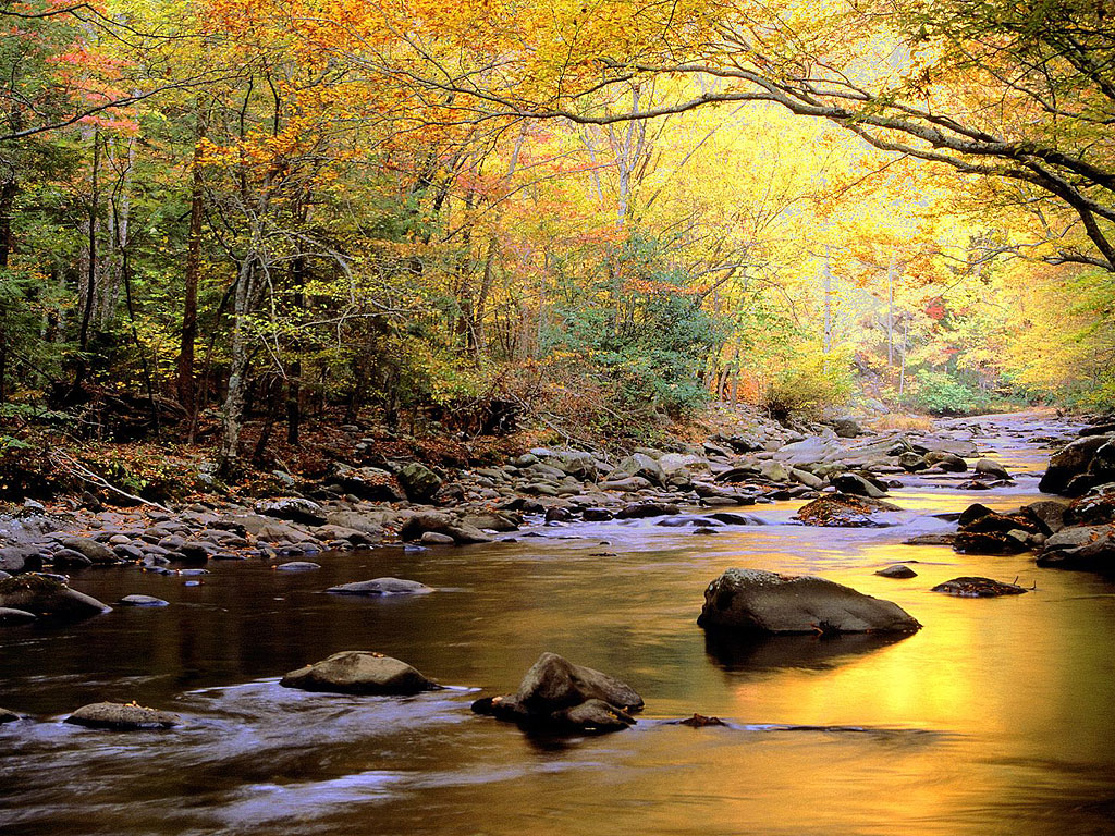 Autumn Mountain Stream Desktop