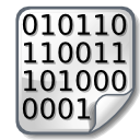 Binary Code Icon