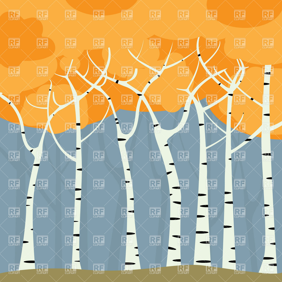 Birch Tree Forest Clip Art