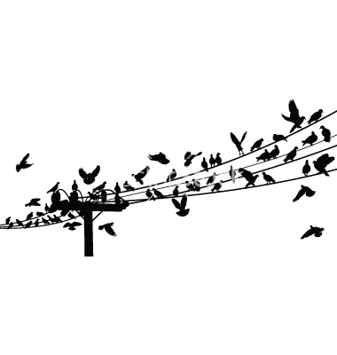 Bird On a Wire Silhouette Bird On a Wire Silhouette