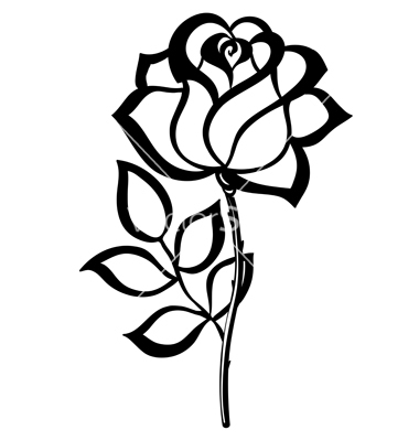 Black and White Rose Outline Black and White Rose Outline
