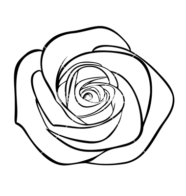 Black and White Rose Outline