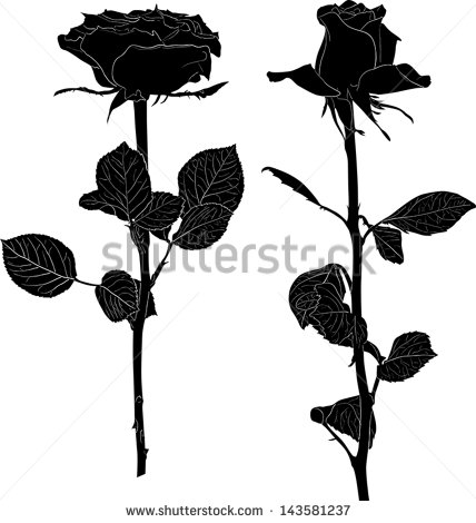 14 Black Rose Flower Vector Images