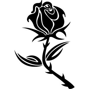 Black Rose Vector Black Rose Vector