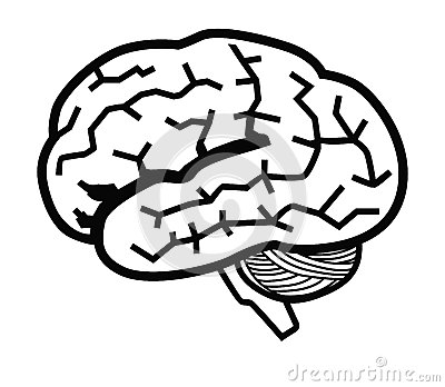 Brain Icon Vector