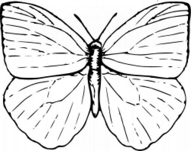 Butterfly Clip Art Coloring Pages