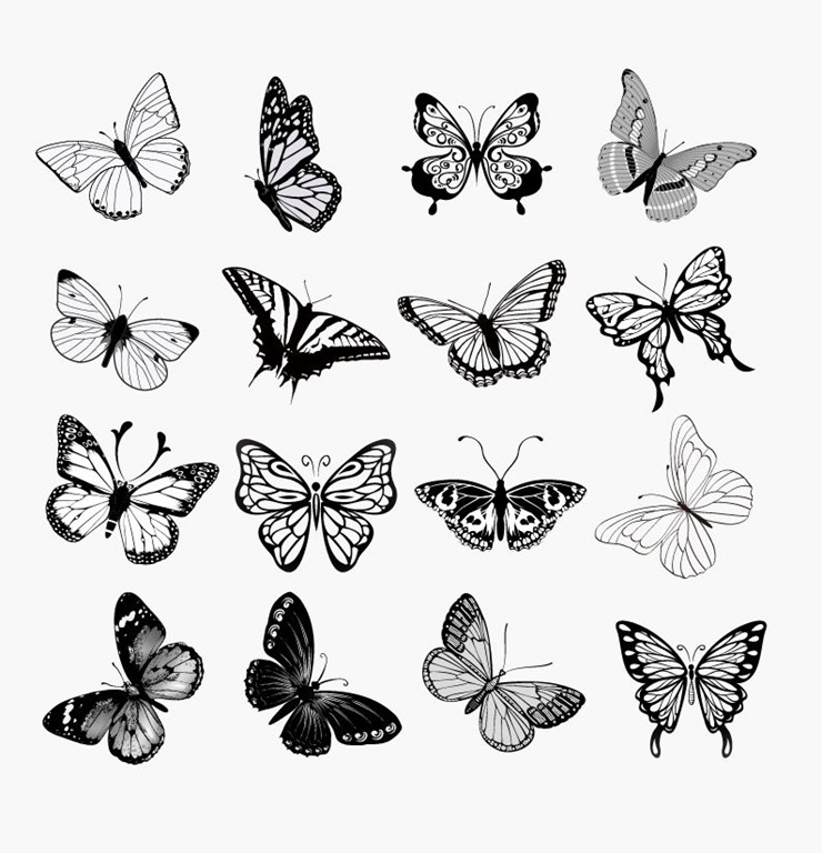 Butterfly Silhouette Vector Illustration