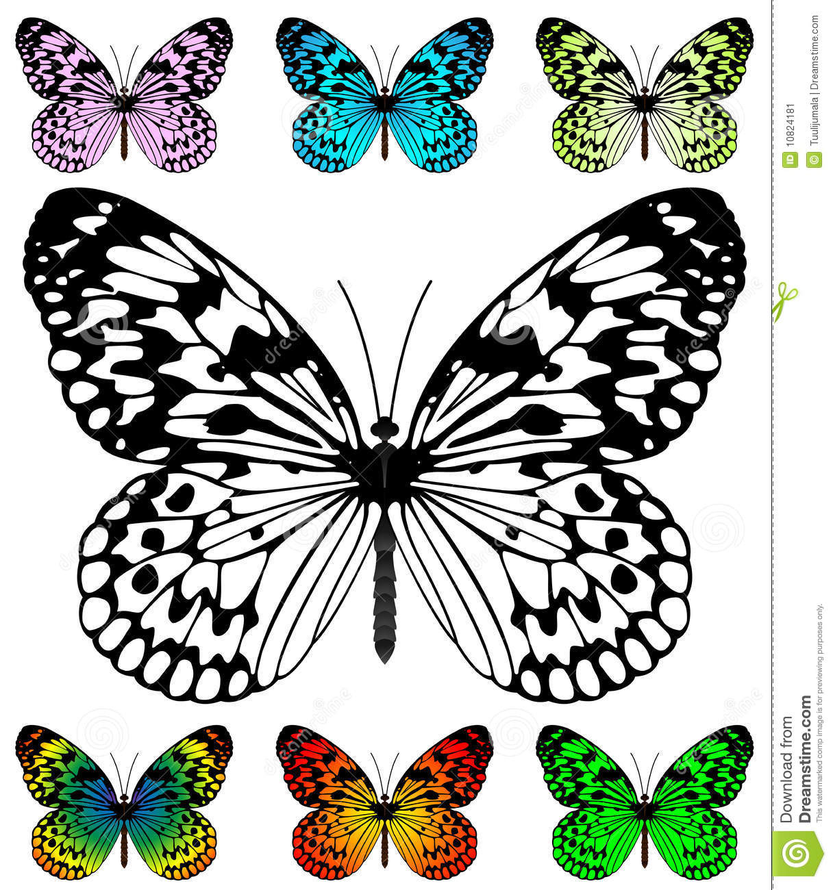 Color Butterfly Wings Template