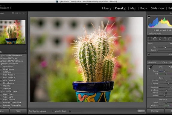 Crack Adobe Photoshop CC 2015 Crack Adobe Photoshop CC 2015