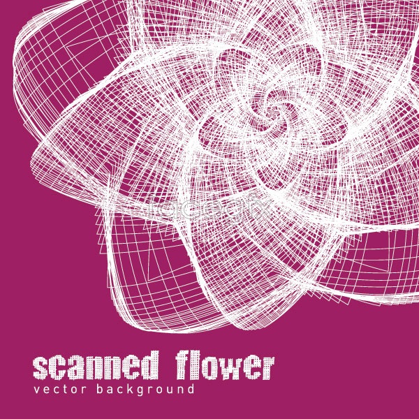 Flower Vector Graphics