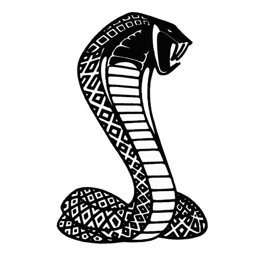 13 Cobra Logo Vector Images