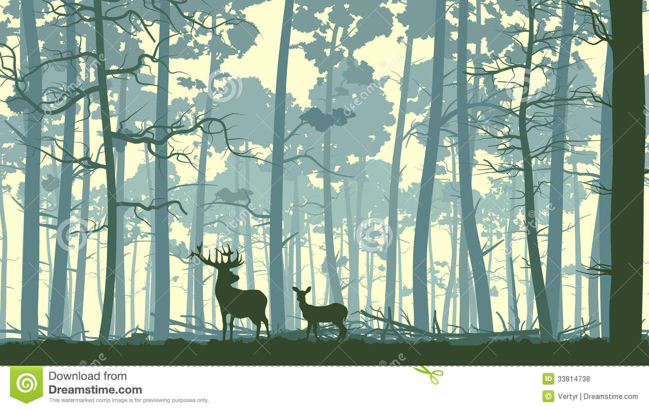 14 Trees Forest Animals Vector Graphics Images