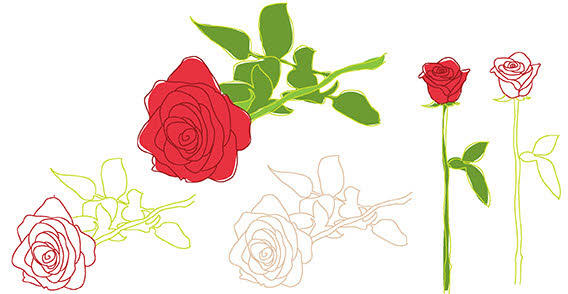 13 Rose Outline With Leaves Vector Images