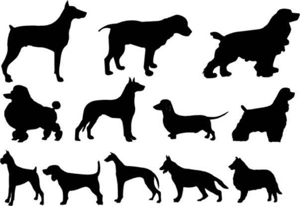 16 Dog Vector Free Download Images