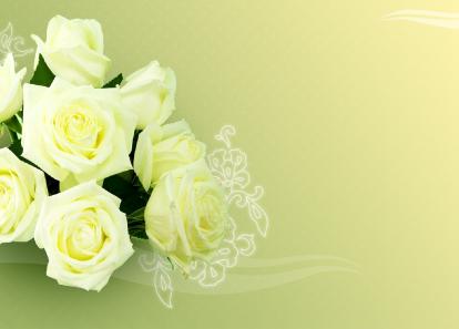 Free White Rose Backgrounds