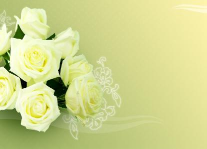 Free White Rose Backgrounds Free White Rose Backgrounds