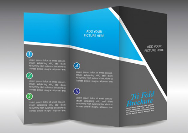 Graphic Design Brochure Templates