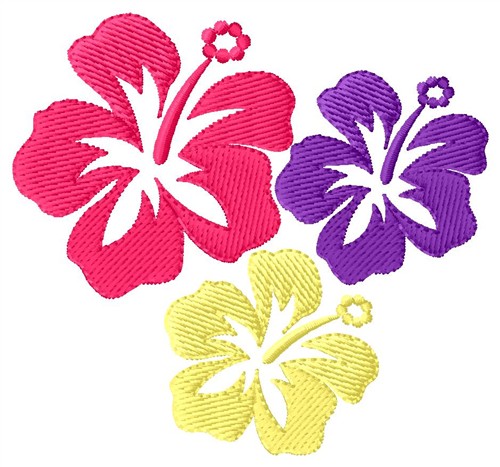 Hawaiian Flower Designs