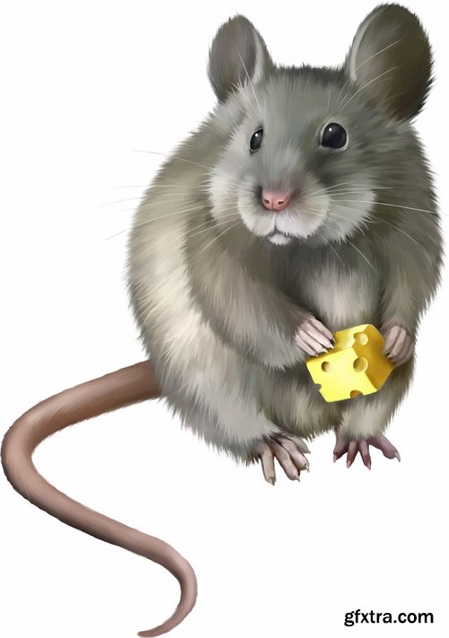 Mouse Eating Cheese