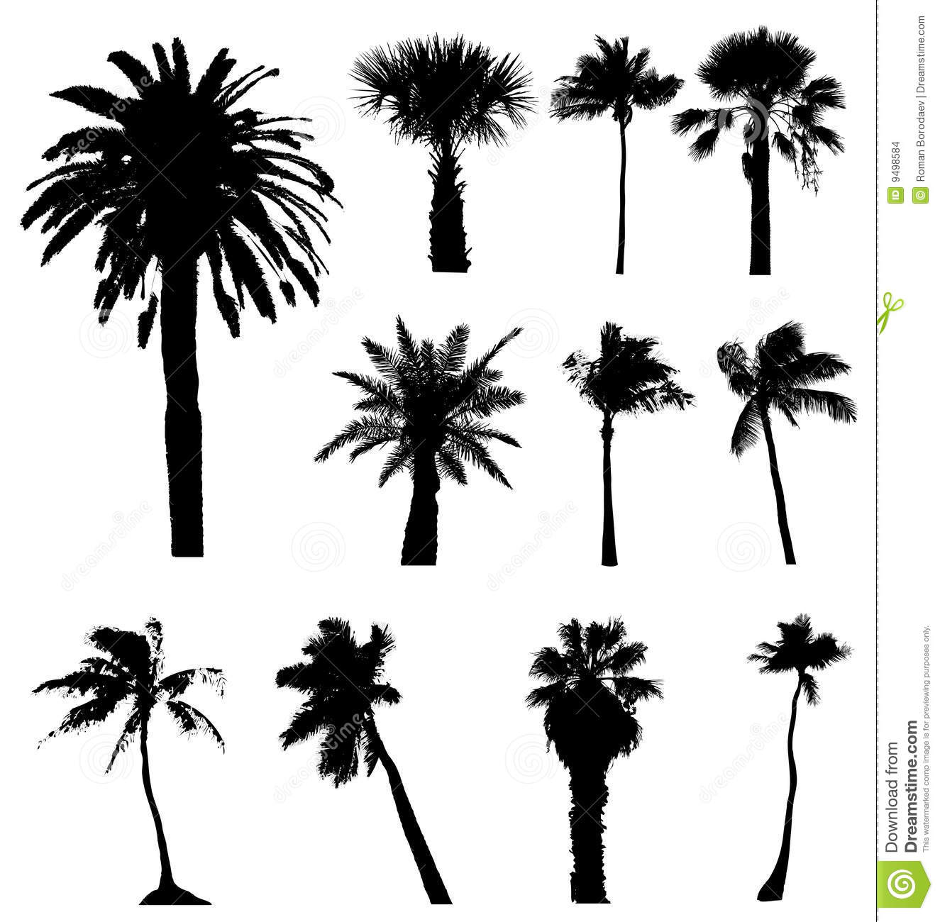 12 California Palm Trees Vector Images