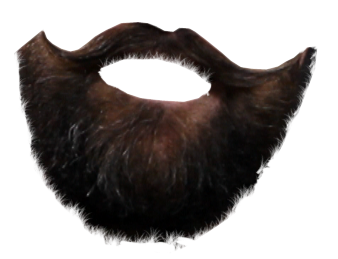 Photoshop Transparent Beard