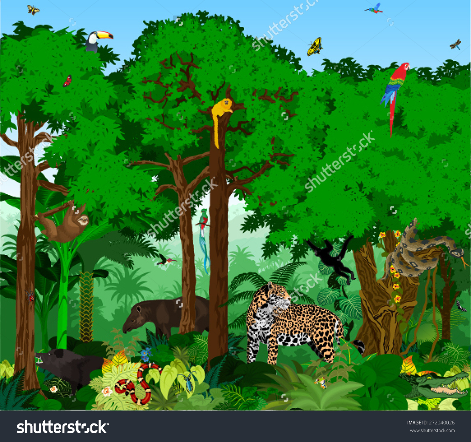 Rainforest Vector Illustration