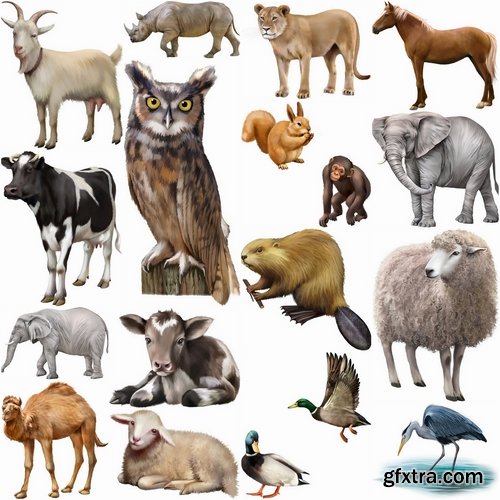 clipart of different animals - photo #15