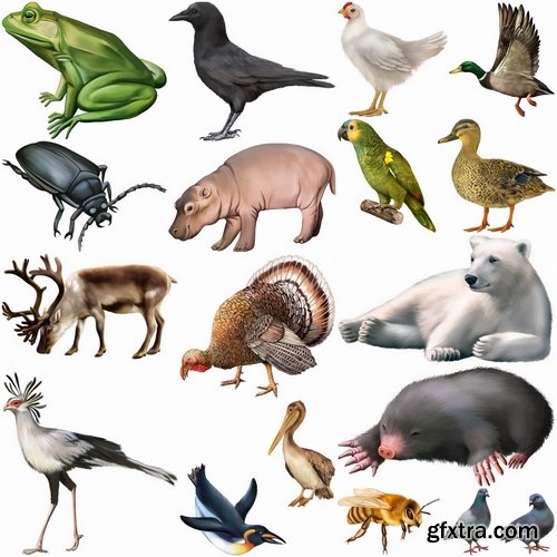 Realistic Vector Animals