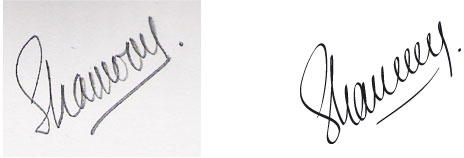 Signature Font Signature Font