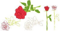 Free Rose Outline Vectors