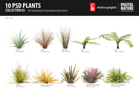 Transparent Plants Photoshop