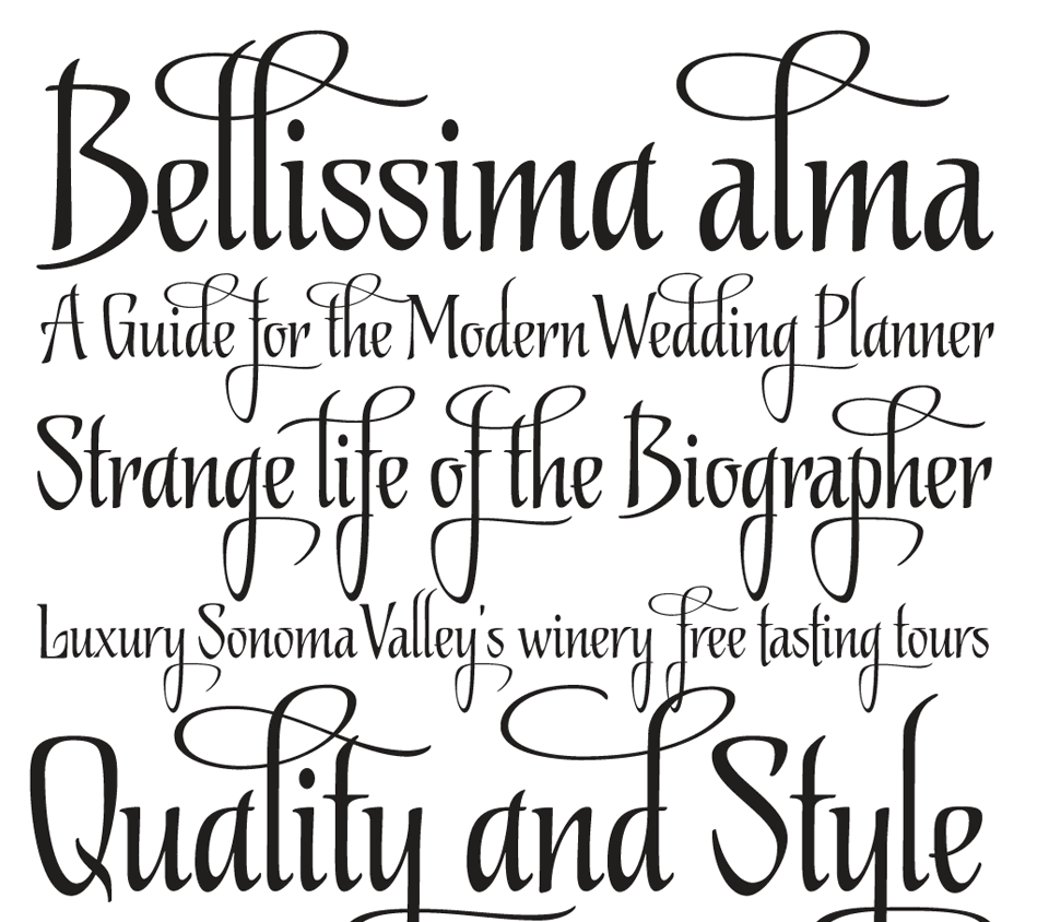 Typography Fonts
