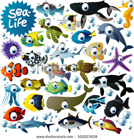Vector Sea Animals