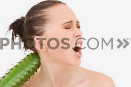 Weird Stock Photos Funny Weird Stock Photos Funny
